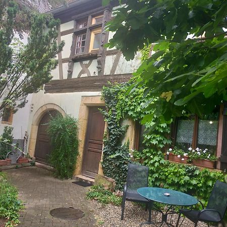 Apt. La Grenouillère De Turckheim Exterior foto